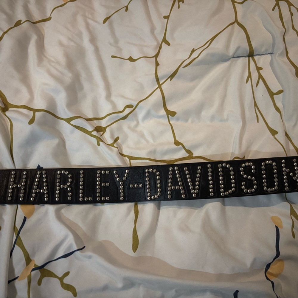 Harley Davidson belt ￼